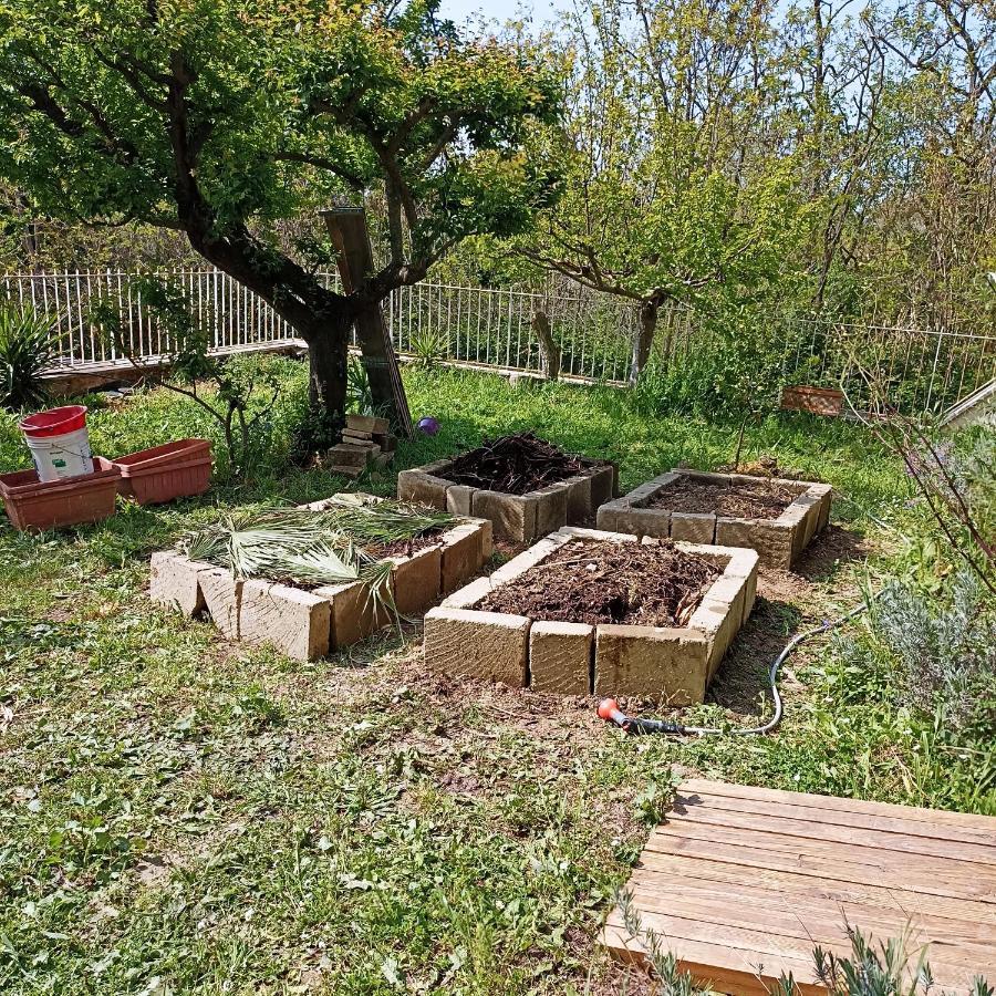 Ripe'S Forest Garden Guest House Рим Екстер'єр фото