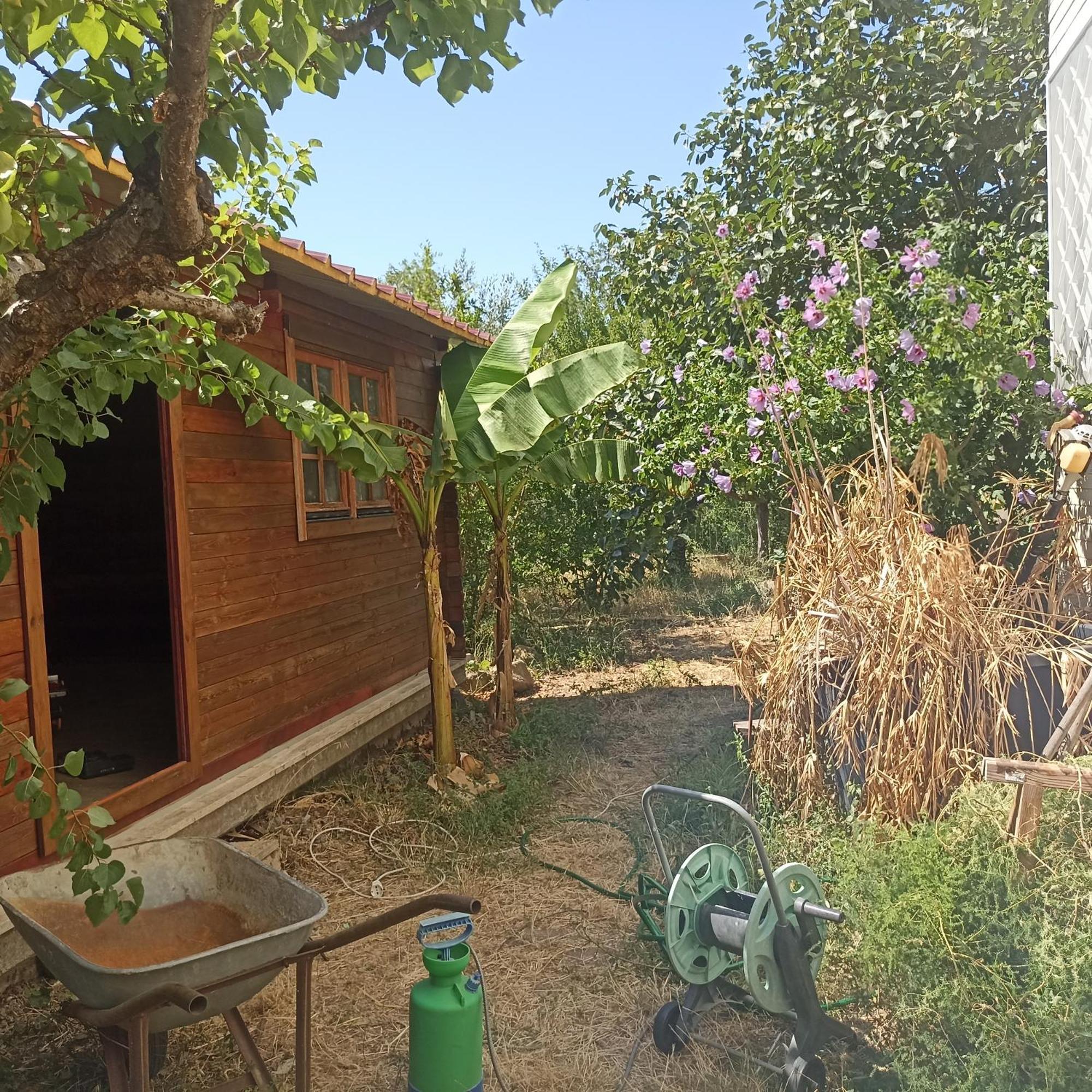 Ripe'S Forest Garden Guest House Рим Екстер'єр фото